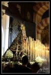 los dolores semana santa 2012 (21)