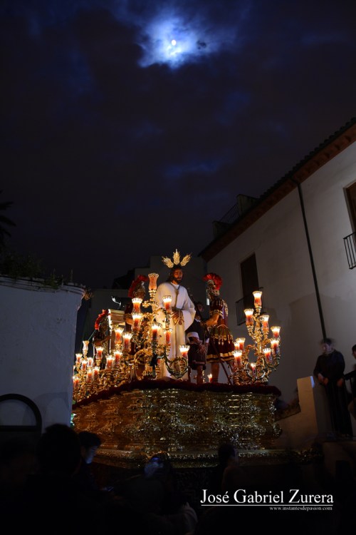 Sangre Capuchina-red